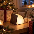Boklampa som present till bokälskaren
